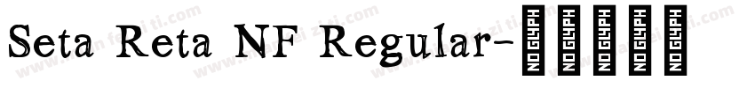Seta Reta NF Regular字体转换